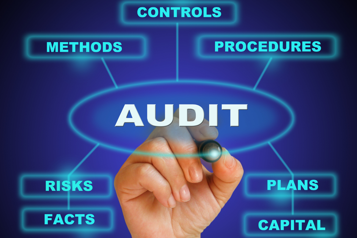 Auditing Services-1