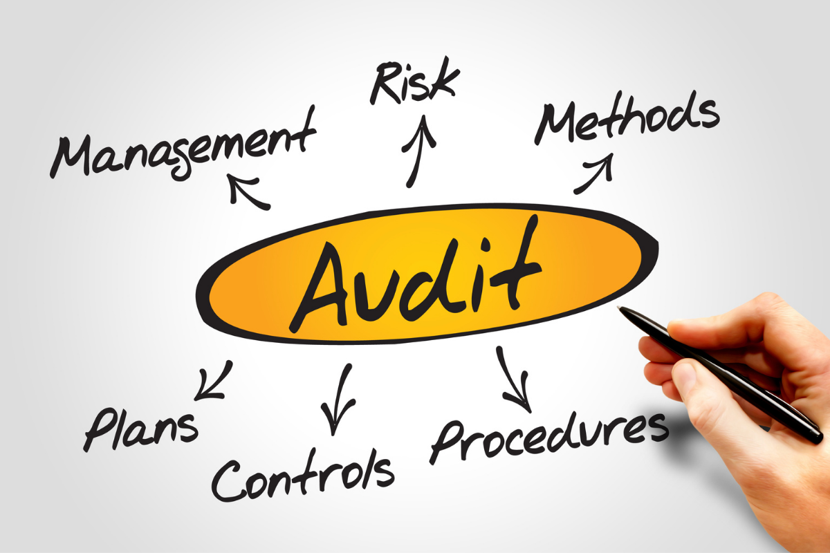 Auditing Services-4